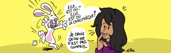 ASDP carothèque Glaciers Antartique